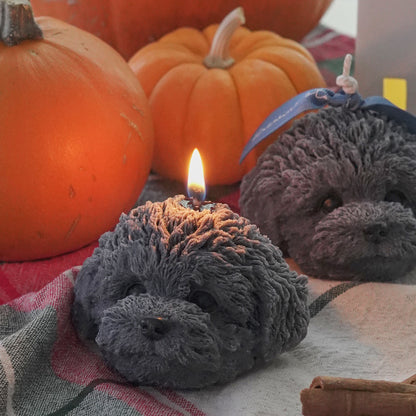 two gray poodle candles with cinnamon sticks and pumpkins